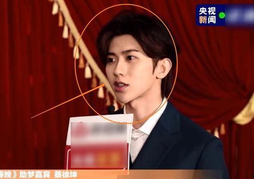 央视爆料蔡徐坤视频全集,蔡徐坤视频全集曝光，真相令人震惊！